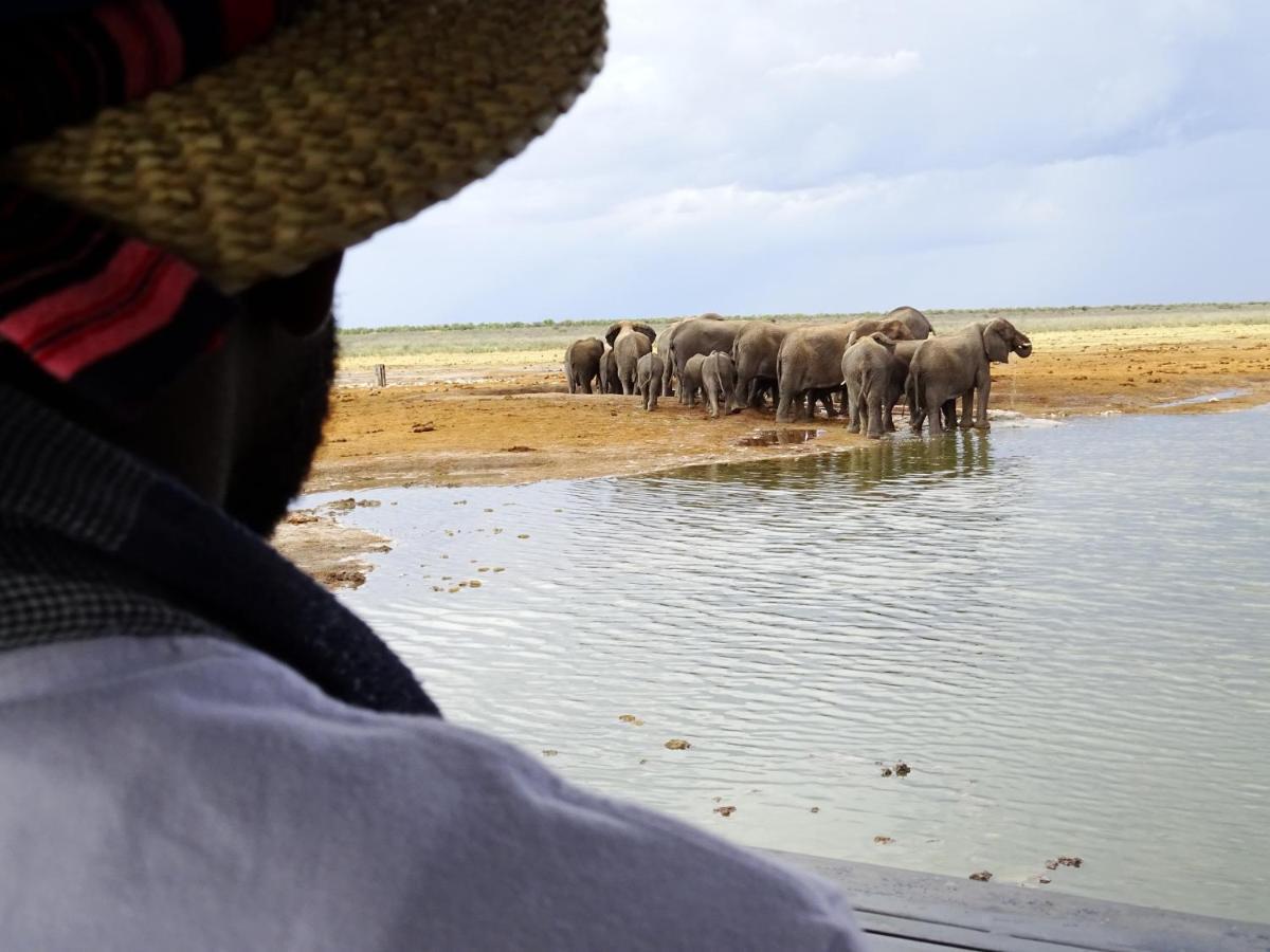 Villa Etosha King Nehale Omuthiya Esterno foto