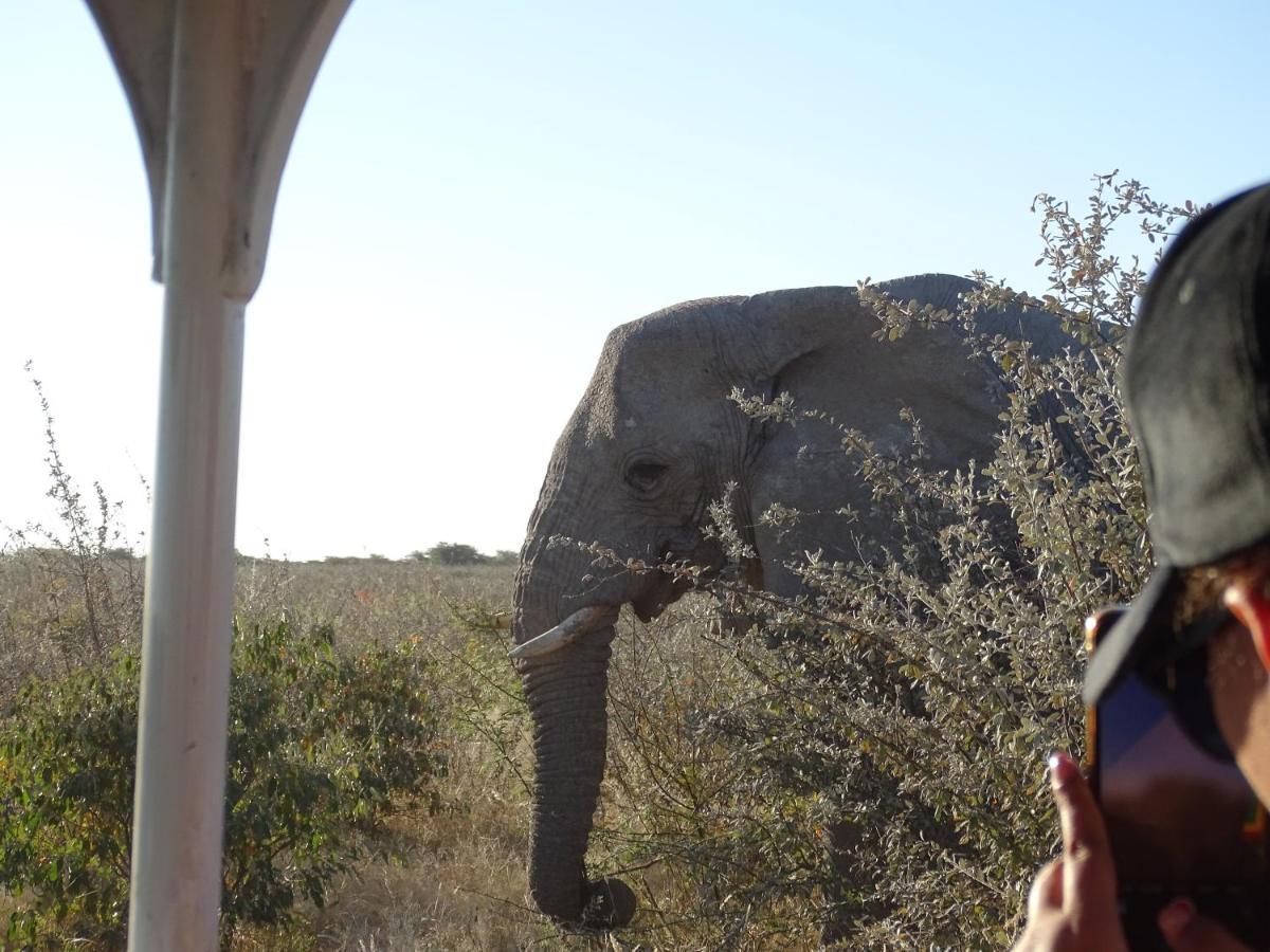 Villa Etosha King Nehale Omuthiya Esterno foto
